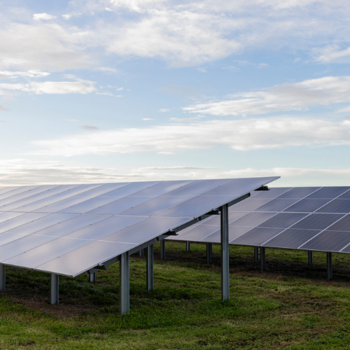 An image of solar panels at the Taiohi (meaning youthful) solar farm