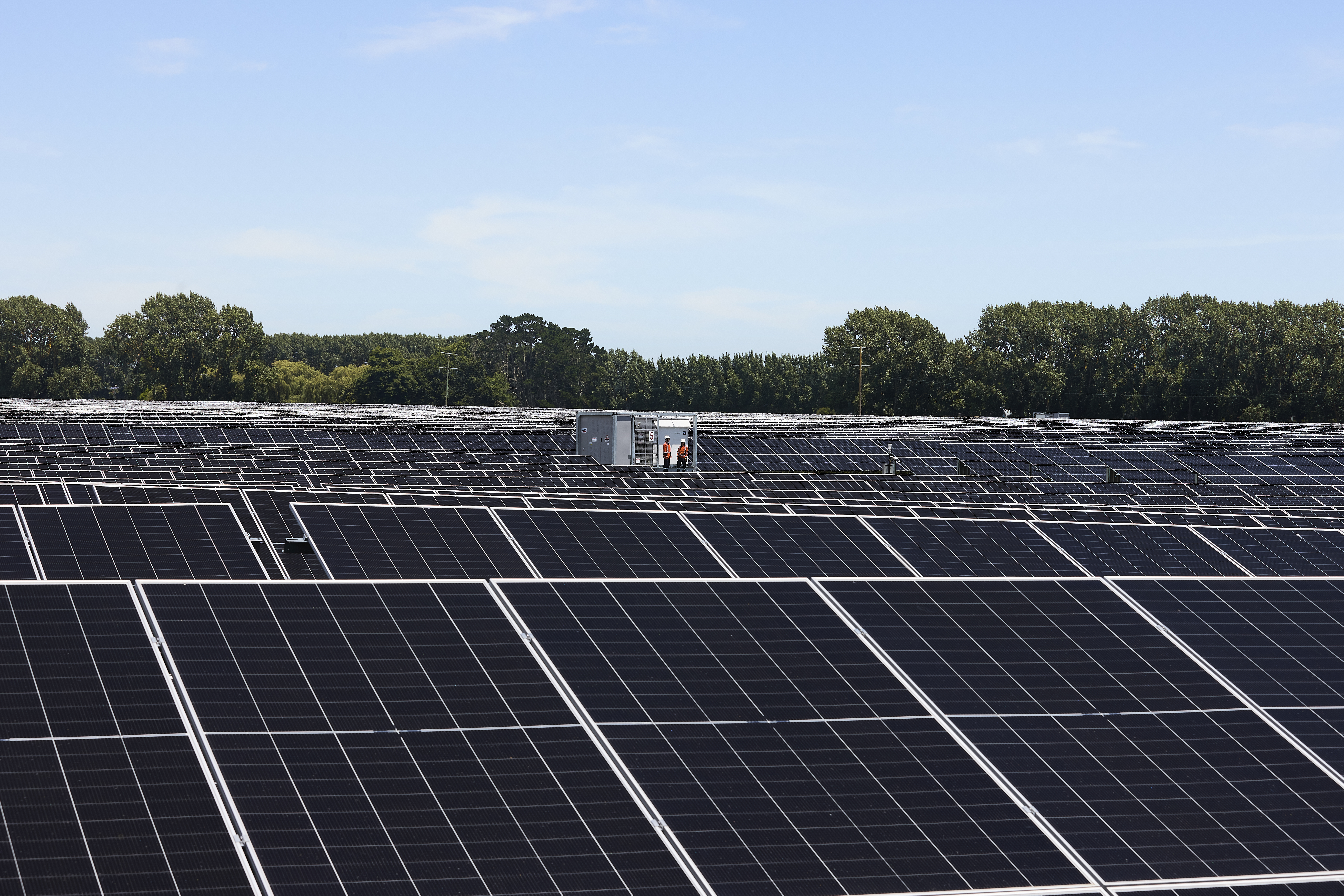 Network flexibility services - Request for Proposal (RFP)