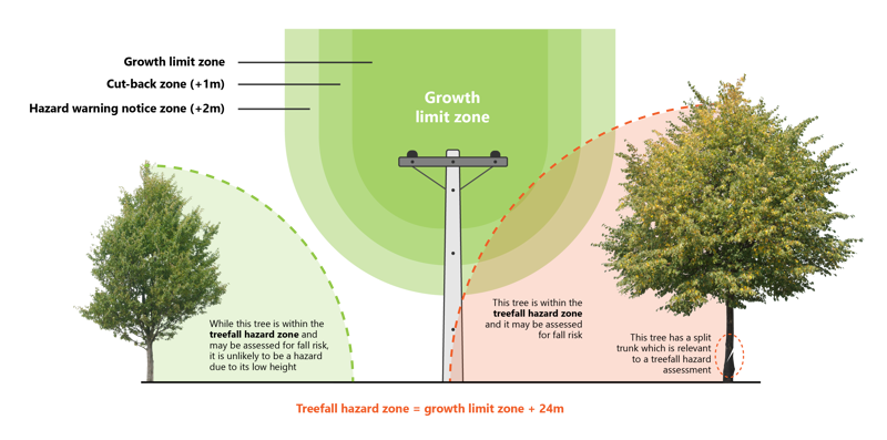 Tree regulation graphic_Treefall hazard zone-cropped.png