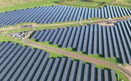 NewPower energises Taiohi Solar Farm, delivering new resilience for the Waikato region