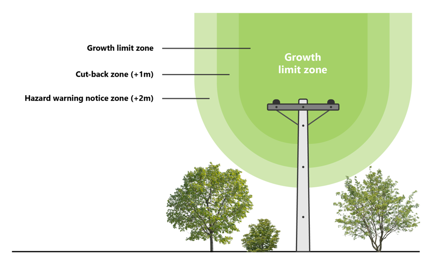 Tree regulation graphic_ Growth limit zone-cropped.png