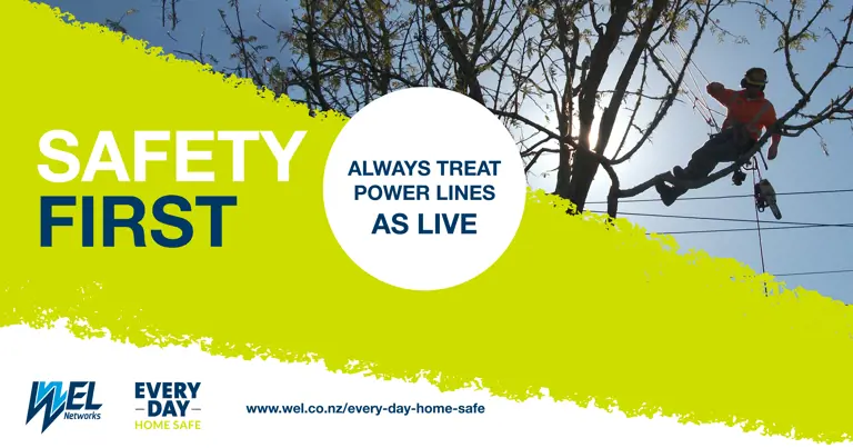 Safety first -  always treat powerlines as live 