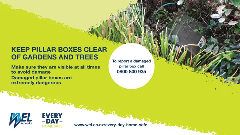Keep pillar boxes clear of gardens and trees